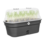 green basics grow tray allin1 l living black